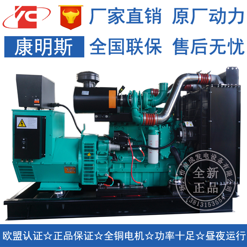 160KW康明斯6CTAA8.3-G2柴油發(fā)電機(jī)組