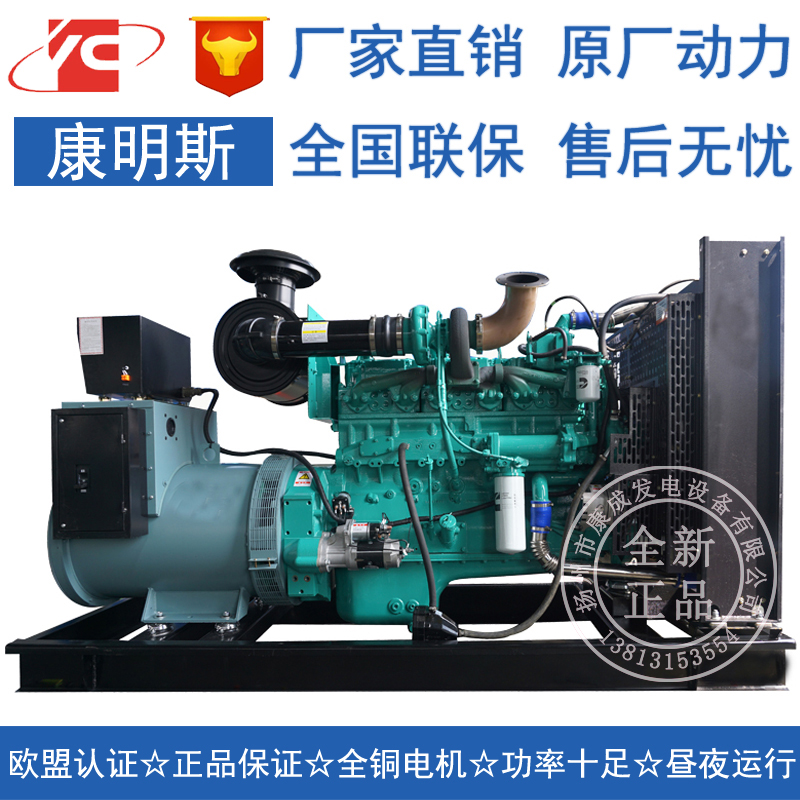 200KW重慶康明斯NT855-GA柴油發(fā)電機(jī)組